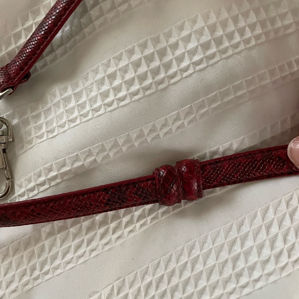 Belt - Picture 2 of 3